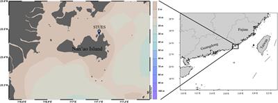 B vitamins supplementation induced shifts in phytoplankton dynamics and copepod populations in a subtropical coastal area